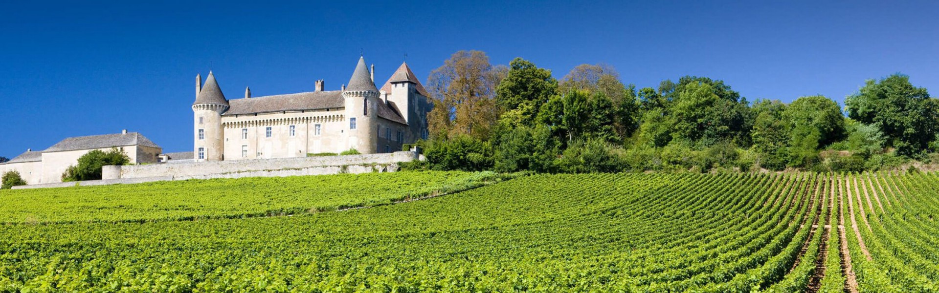 Terroirs, vignobles et domaines d'exception